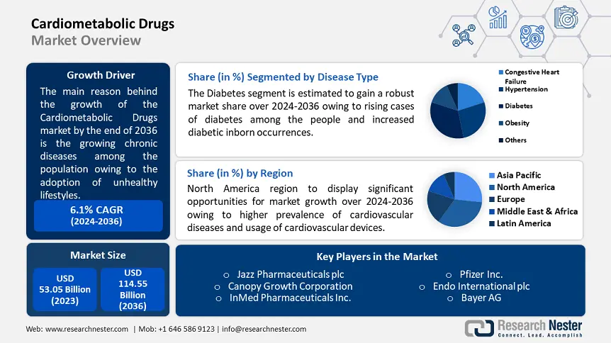Cardiometabolic Drugs Market overview-min